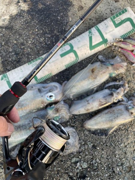 2025 佐渡ヶ島エギング Vol.18【9月26日】